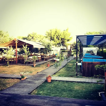 Avenue Butik