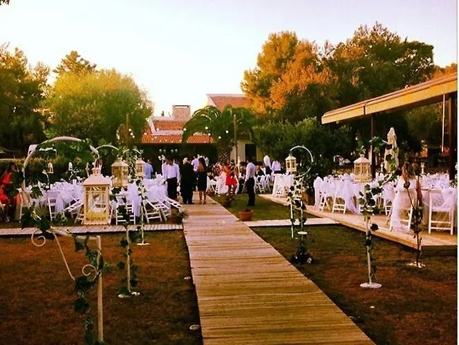 Avenue Butik *