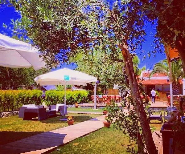 Avenue Butik *