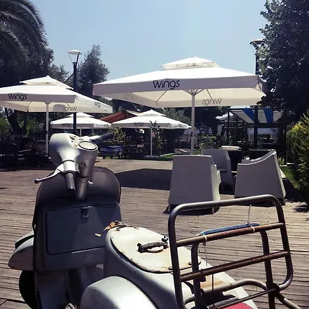 Avenue Butik ألاتشاتي